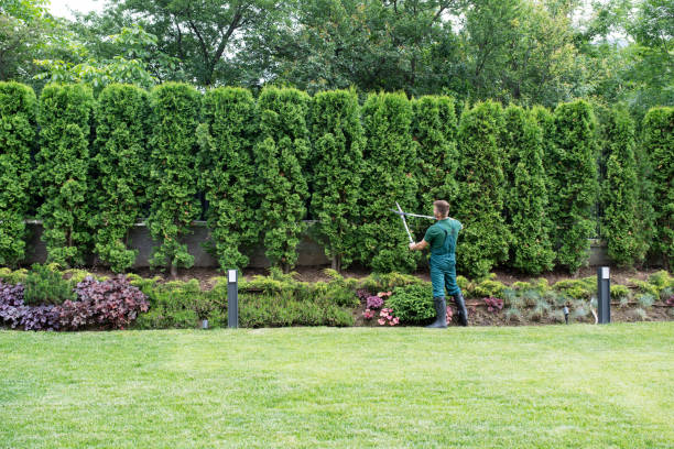 Lawn Irrigation Installation and Maintenance in Seneca, IL